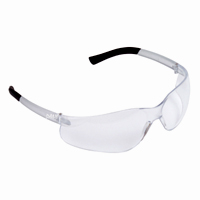 EL10S Dane safety glasses frosted clear frame clear lens